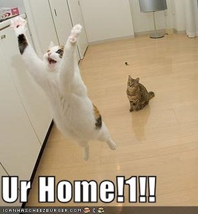 Ur Home!1!!