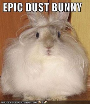 EPIC DUST BUNNY