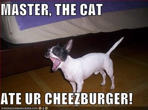 MASTER, THE CAT  ATE UR CHEEZBURGER!