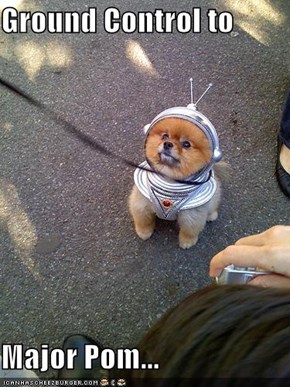 Ground Control to   Major Pom...