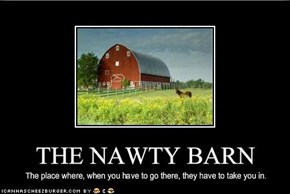 THE NAWTY BARN