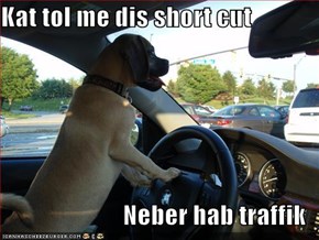 Kat tol me dis short cut  Neber hab traffik