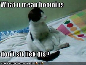 What u mean hoomins  don't sit liek dis?