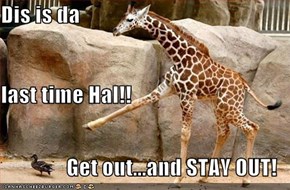 Dis is da                   last time Hal!! Get out...and STAY OUT!