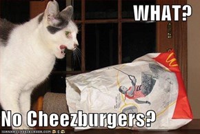 WHAT?  No Cheezburgers?