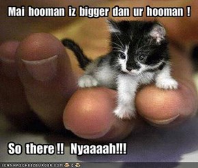 Mai  hooman  iz  bigger  dan  ur  hooman  !