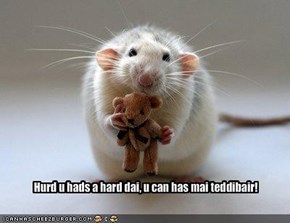 Hurd u hads a hard dai, u can has mai teddibair!