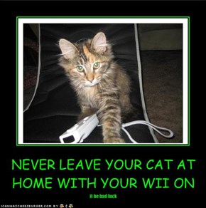 NEVER LEAVE YOUR CAT AT HOME WITH YOUR WII ON