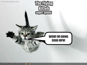 The Flying Kitteh 