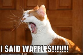 I SAID WAFFLES!!!!!!!