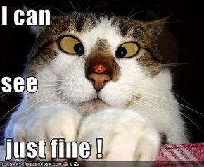 I can see  just fine !