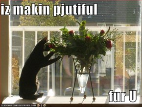 iz makin pjutiful  fur U