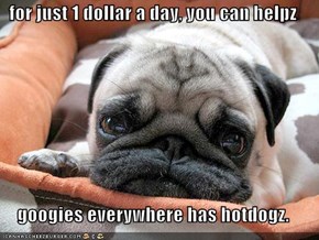 for just 1 dollar a day, you can helpz   googies everywhere has hotdogz.