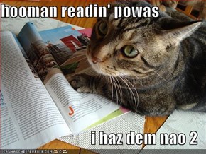 hooman readin' powas  i haz dem nao 2