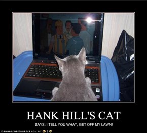 HANK HILL'S CAT
