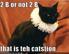 2 B or not 2 B  that is teh catstion