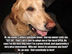 Hi, my name's Jethro Jedediah Jones - but my owner calls me "$37.50". That's all it cost to adopt me at the local SPCA. He says I'm the best dog ever! I'm a great friend, and apparently a very wise investment.  Why not  invest in someone you love? So, go 
