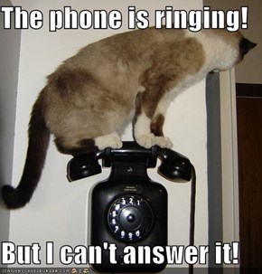 The phone is ringing!  But I can't answer it!