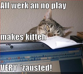 All werk an no play makes kitteh VERY  'zausted!