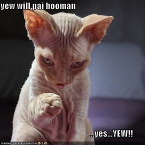 yew will pai hooman                                                      ...yes...YEW!!