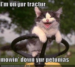 I'm on yur tractur  mowin' down yur petunias