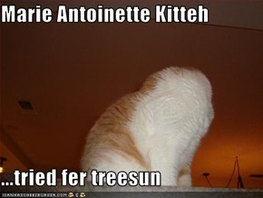 Marie Antoinette Kitteh  ...tried fer treesun