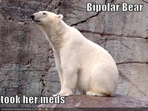 Bipolar Bear  took her meds