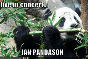 live in concert...  IAN PANDASON