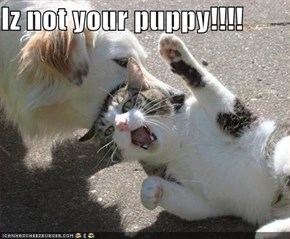 Iz not your puppy!!!!