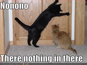 Nonono  There nothing in there