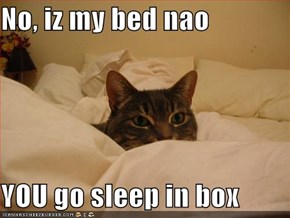 No, iz my bed nao  YOU go sleep in box