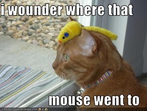 i wounder where that   mouse went to