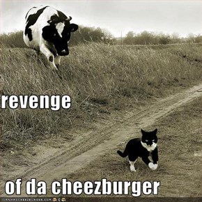 revenge  of da cheezburger