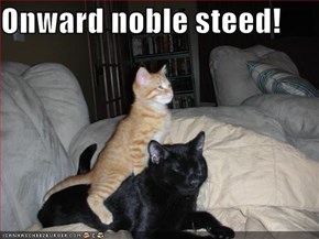 Onward noble steed!
