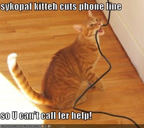 sykopaf kitteh cuts phone line  so U can't call fer help!