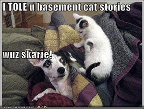 I TOLE u basement cat stories  wuz skarie!