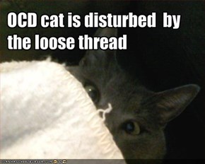 OCD cat is disturbed  by the loose thread