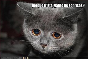 porque triste, gatito de sonrisas?