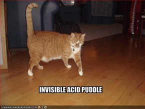 INVISIBLE ACID PUDDLE