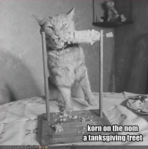 korn on the noma tanksgiving treet