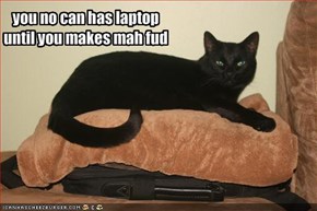 you no can has laptopuntil you makes mah fud