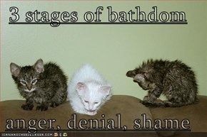 3 stages of bathdom  anger, denial, shame