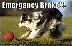 Emergancy Brake!!!