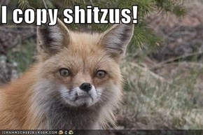 I copy shitzus!