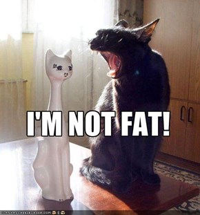 I'M NOT FAT!
