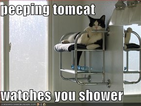 peeping tomcat   watches you shower