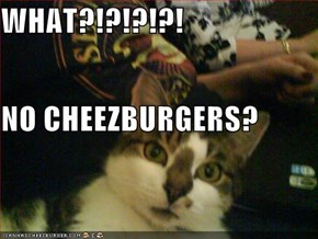 WHAT?!?!?!?! NO CHEEZBURGERS?