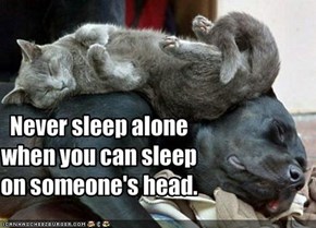 Never sleep alone when you can sleep on someone's head.