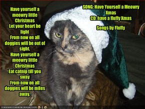 Have yourself a meowry little ChristmasLet your heart be lightFrom now on all doggies will be out of sight.Have yourself a meowry little ChristmasEat catnip till you swayFrom now on all doggies will be miles away.