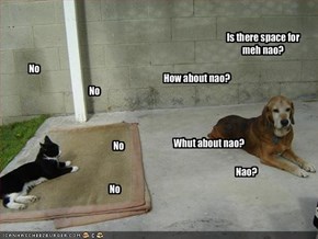 Is there space for meh nao?